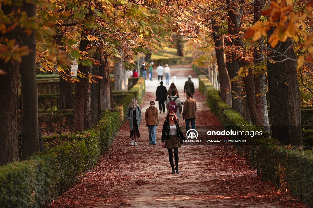 Autumn in Madrid