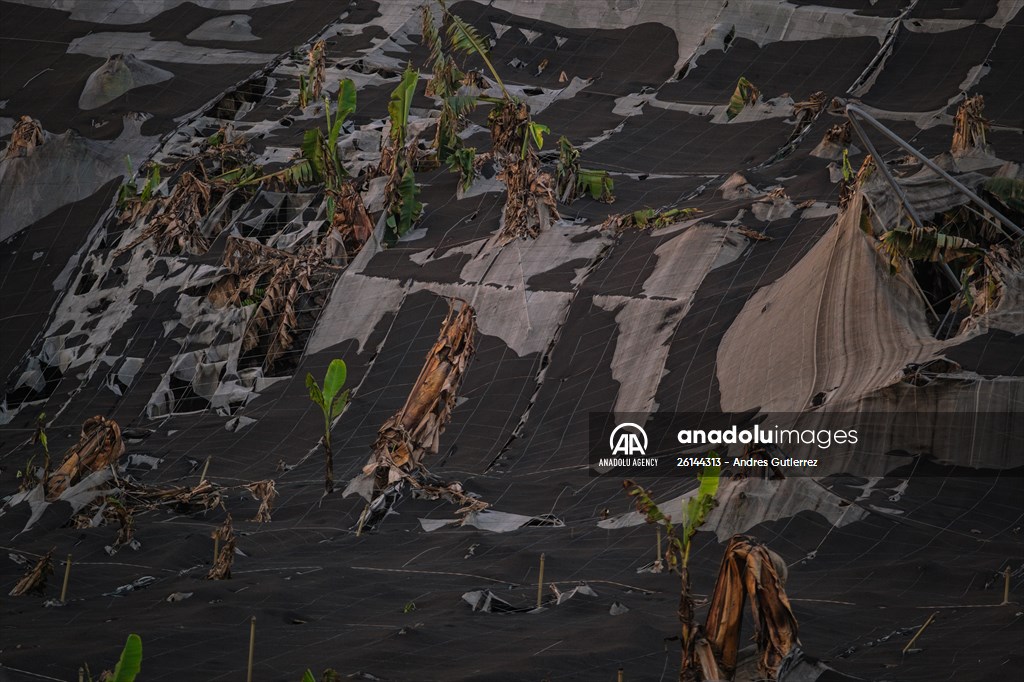 Cumbre Vieja volcano erupts in Spanish Canary Island of La Palma