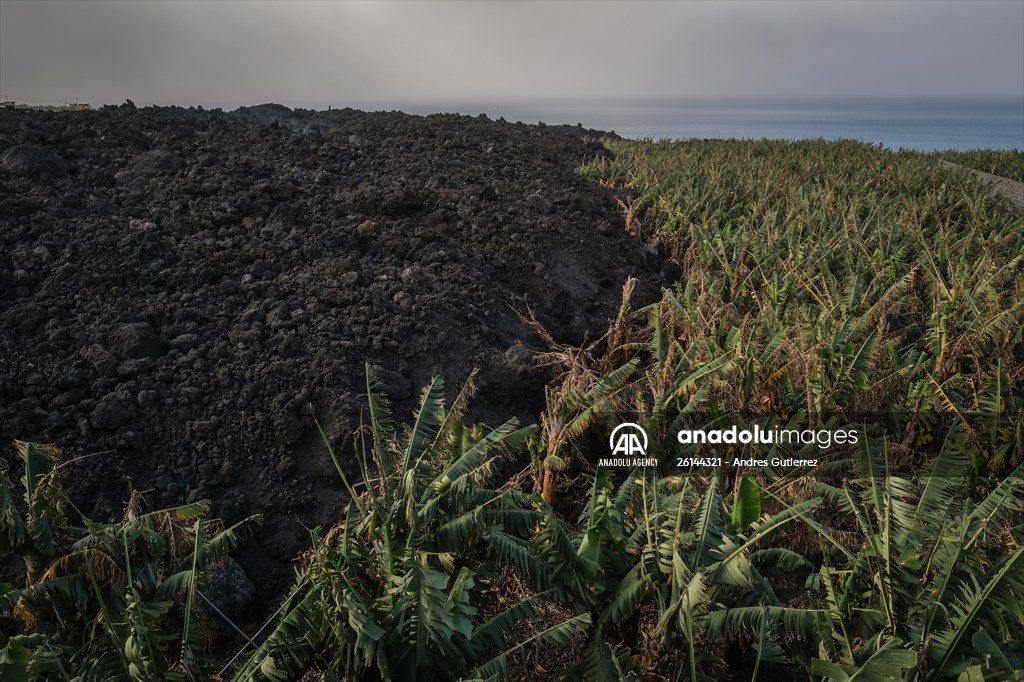 Cumbre Vieja volcano erupts in Spanish Canary Island of La Palma