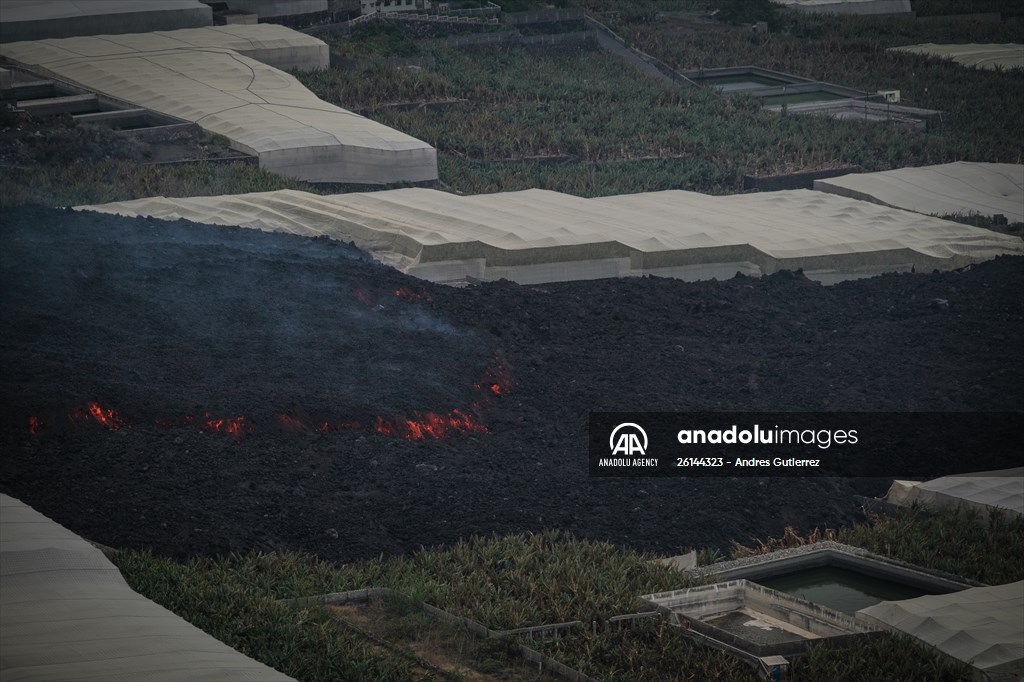 Cumbre Vieja volcano erupts in Spanish Canary Island of La Palma