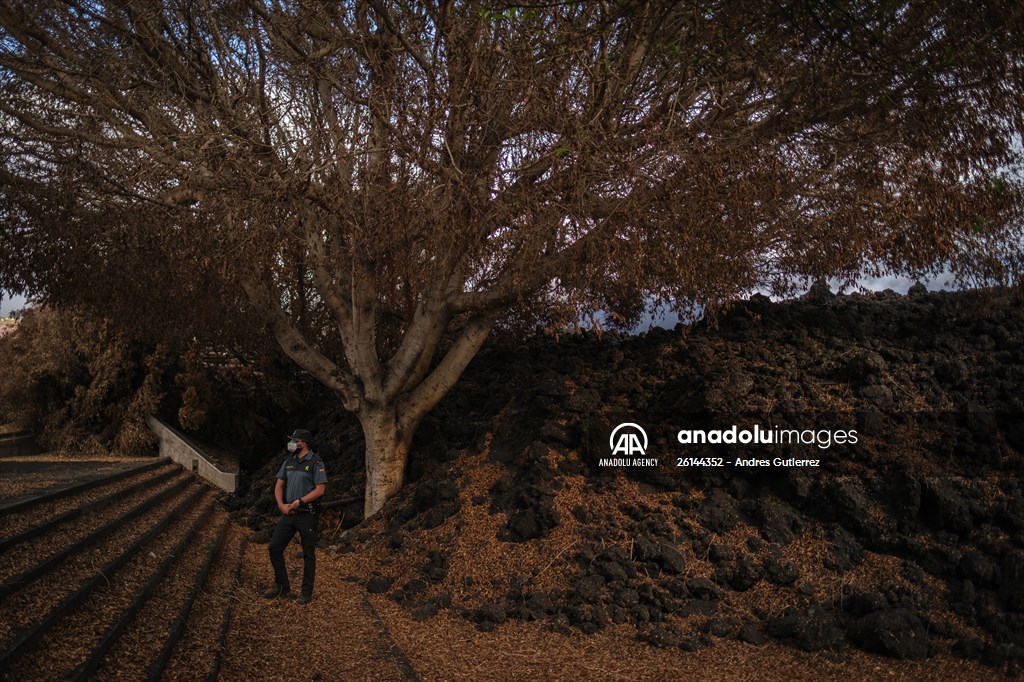 Cumbre Vieja volcano erupts in Spanish Canary Island of La Palma