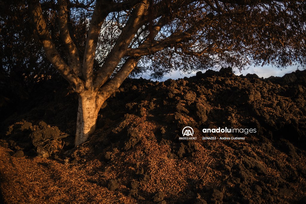 Cumbre Vieja volcano erupts in Spanish Canary Island of La Palma