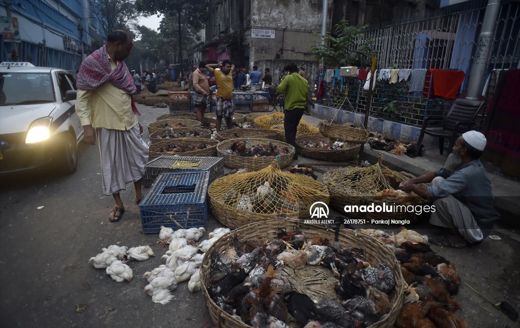 Chicken wholesale market in India