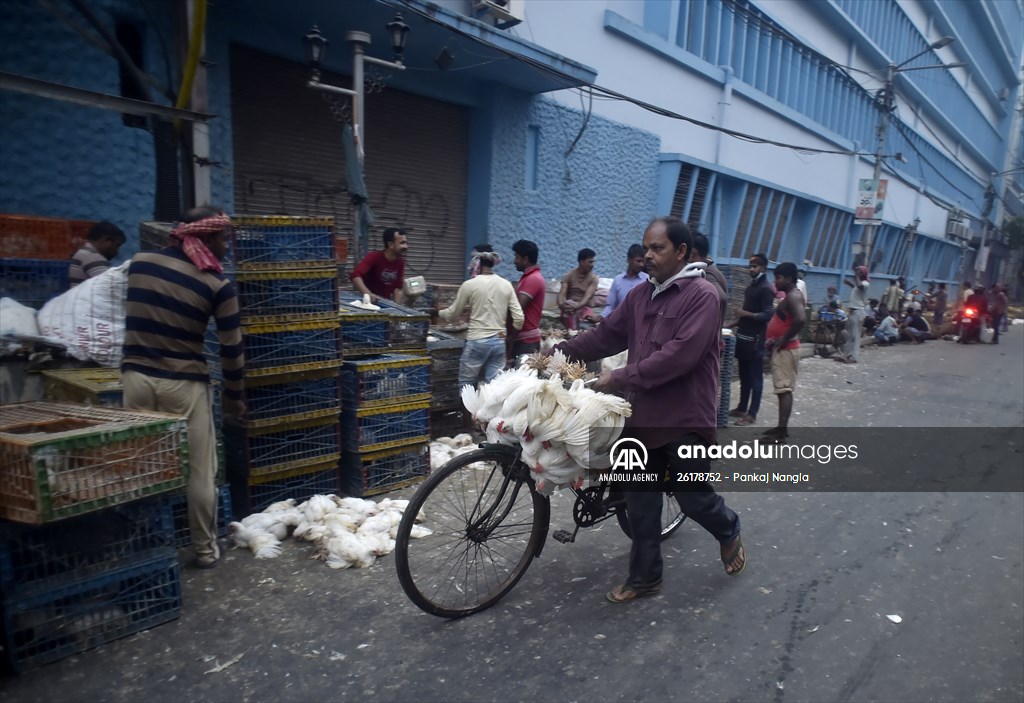 Chicken wholesale market in India