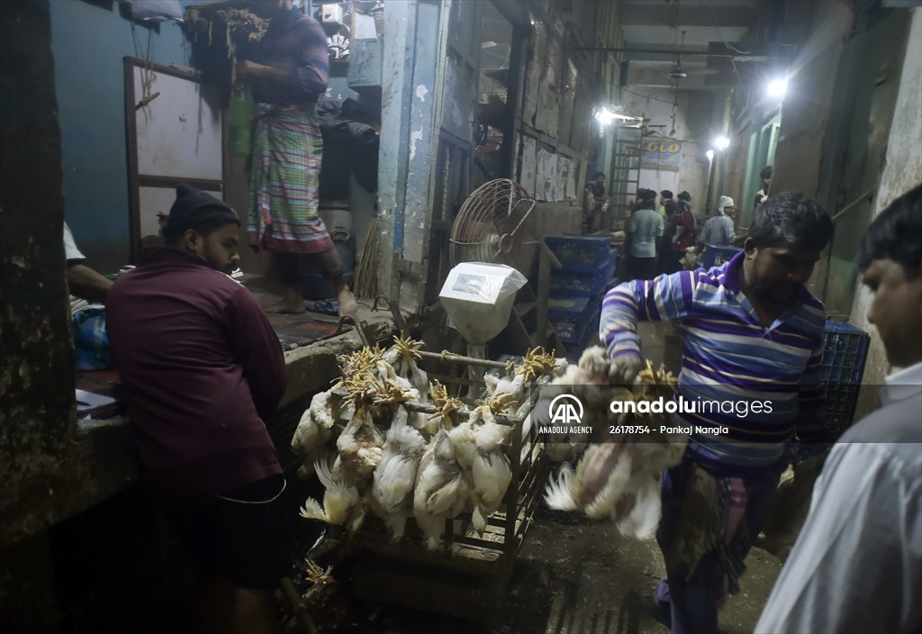 Chicken wholesale market in India