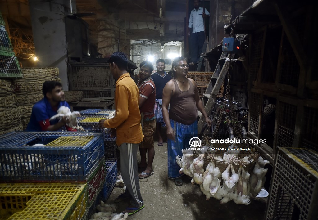 Chicken wholesale market in India