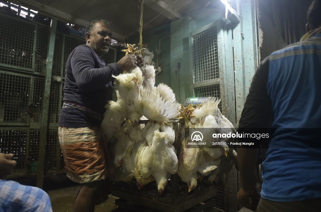 Chicken wholesale market in India