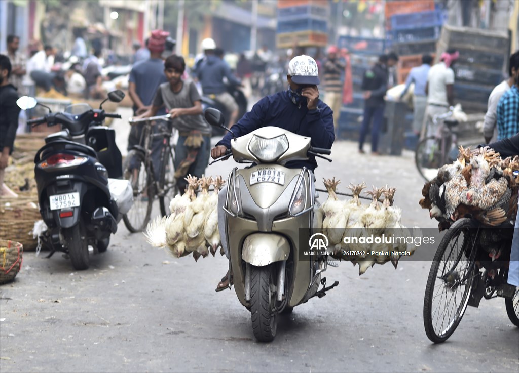 Chicken wholesale market in India