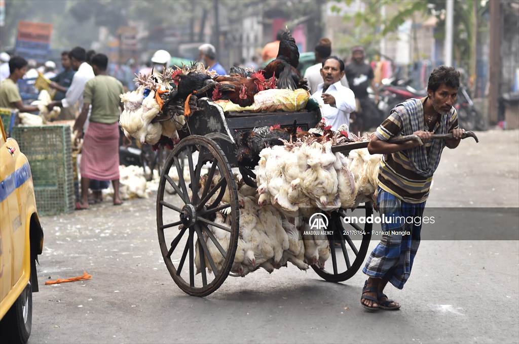 Chicken wholesale market in India