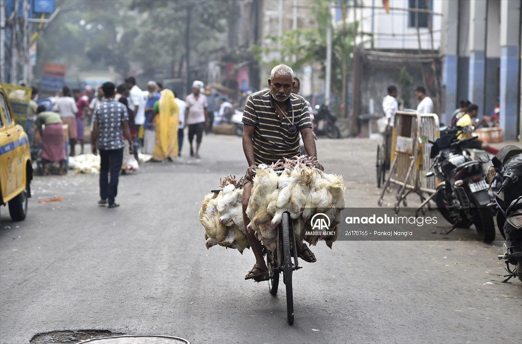 Chicken wholesale market in India