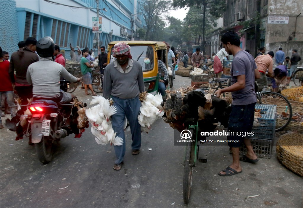 Chicken wholesale market in India