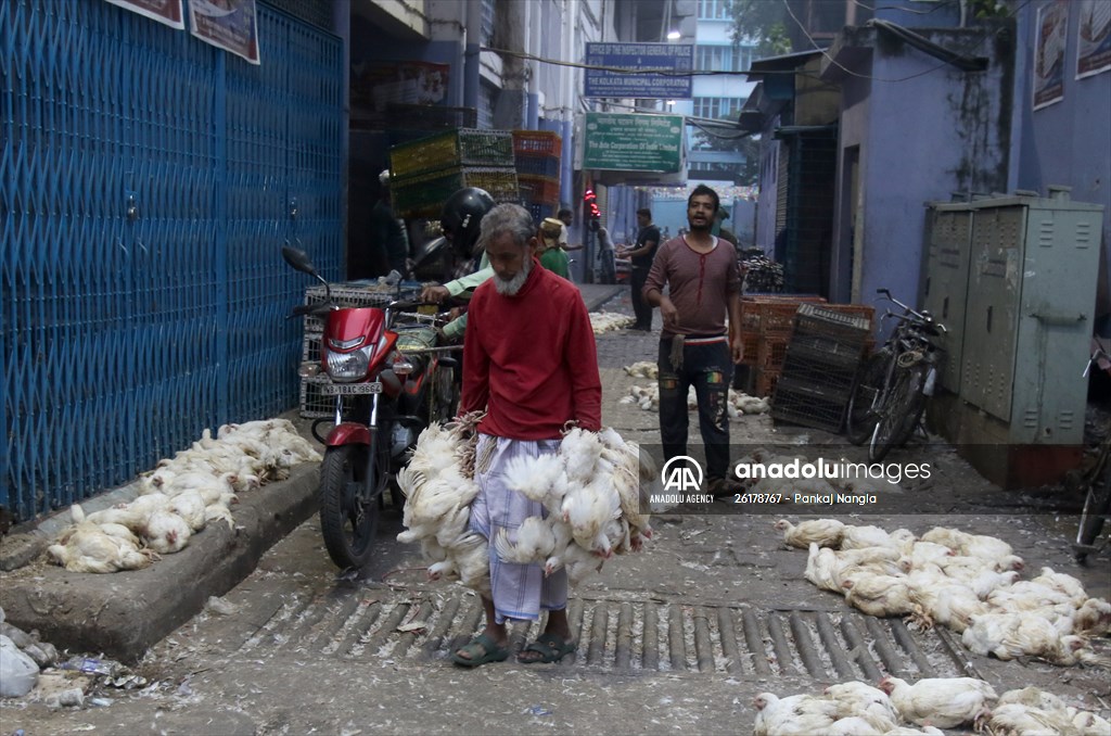 Chicken wholesale market in India