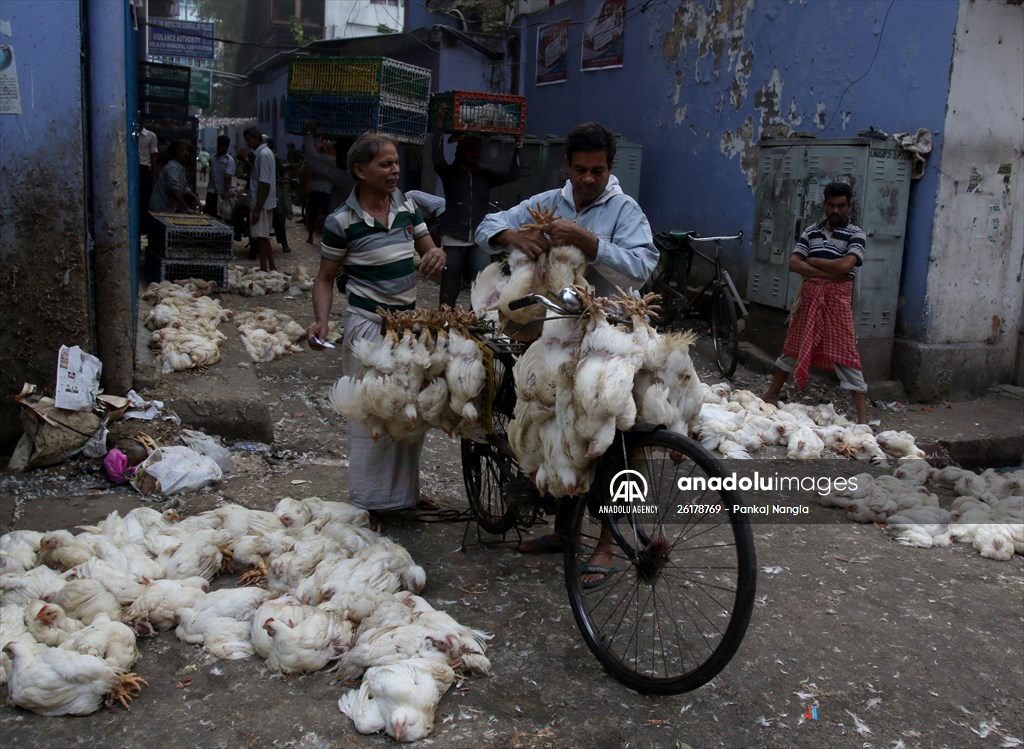 Chicken wholesale market in India