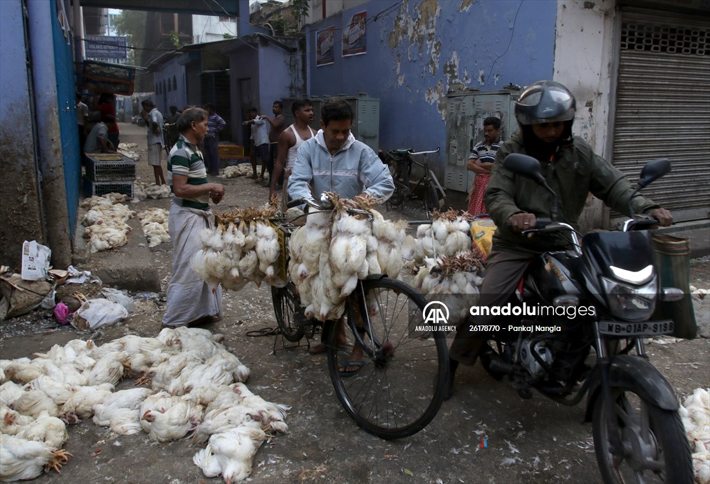 Chicken wholesale market in India