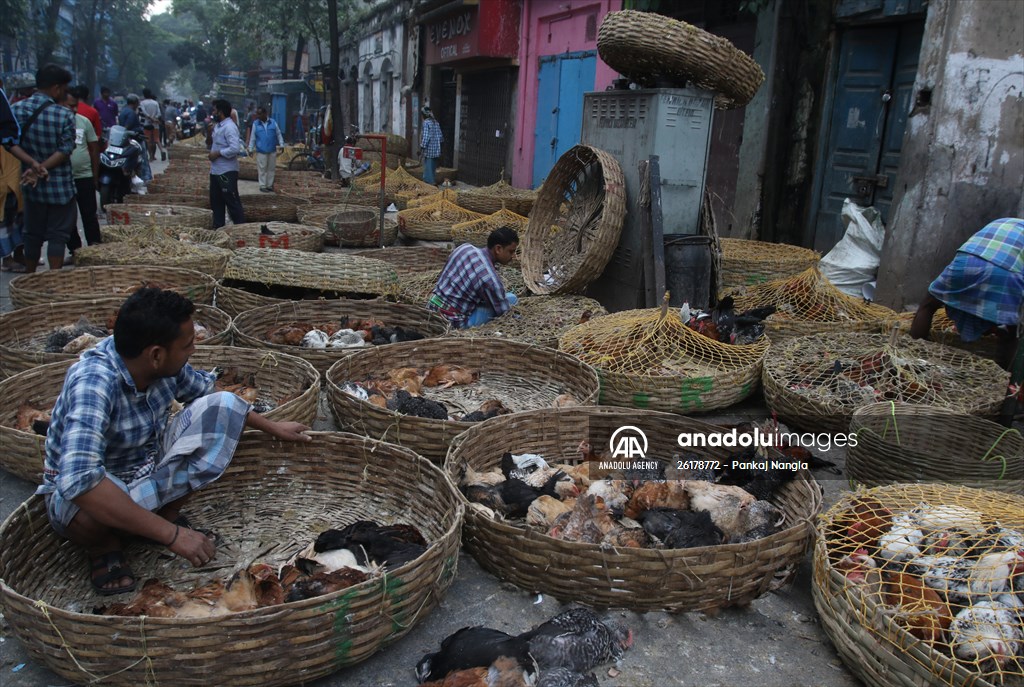 Chicken wholesale market in India