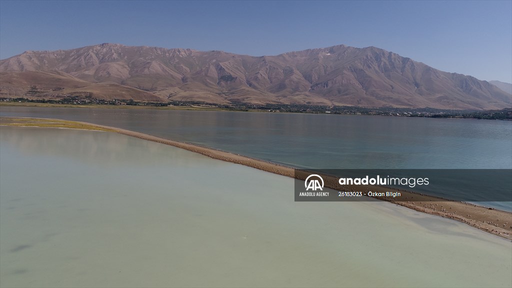 Under water areas turned into land after withdrawal of water in Lake Van