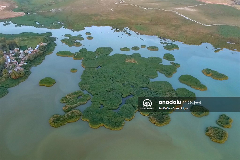 Under water areas turned into land after withdrawal of water in Lake Van