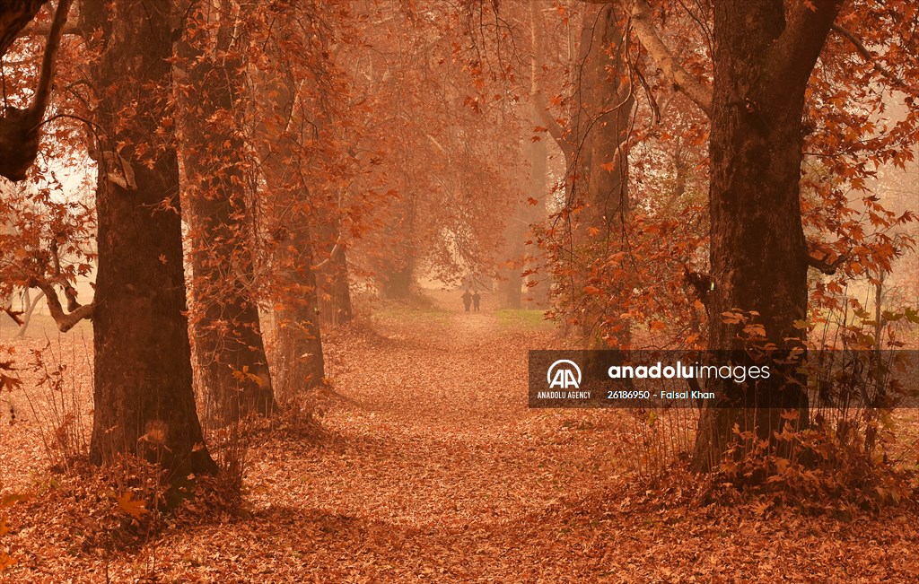 Autumn season in Kashmir