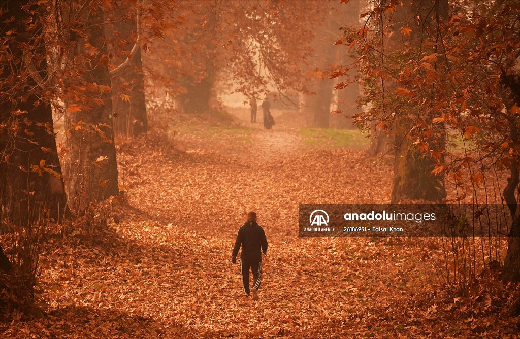 Autumn season in Kashmir