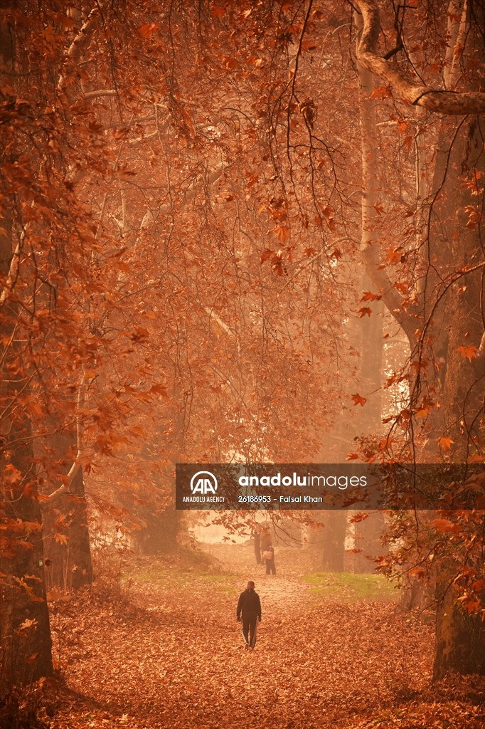 Autumn season in Kashmir