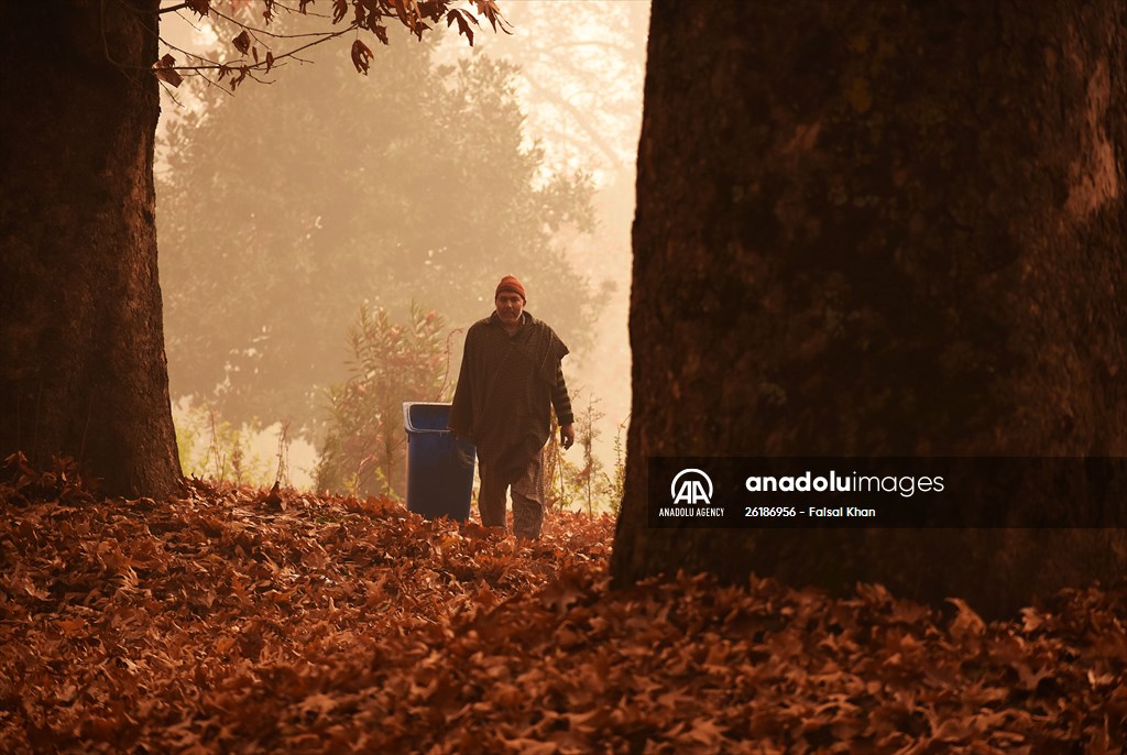 Autumn season in Kashmir