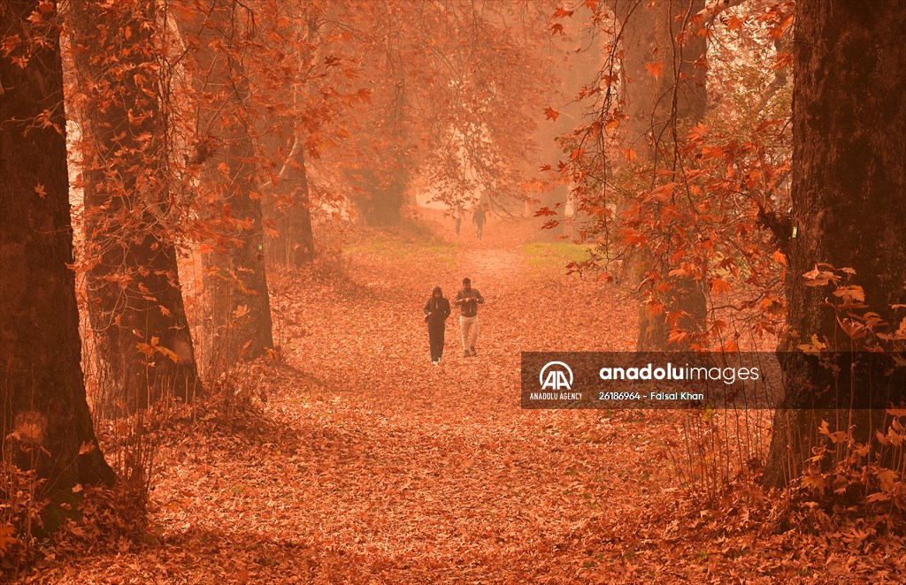 Autumn season in Kashmir