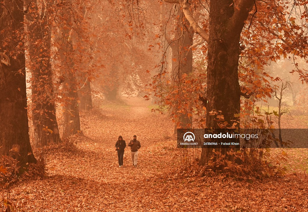 Autumn season in Kashmir