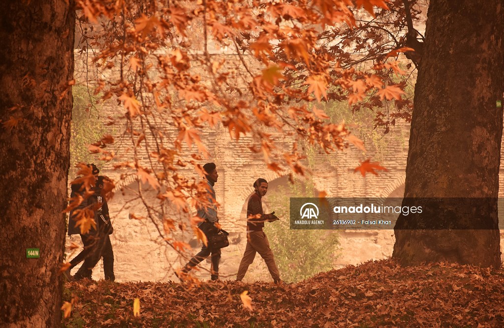 Autumn season in Kashmir