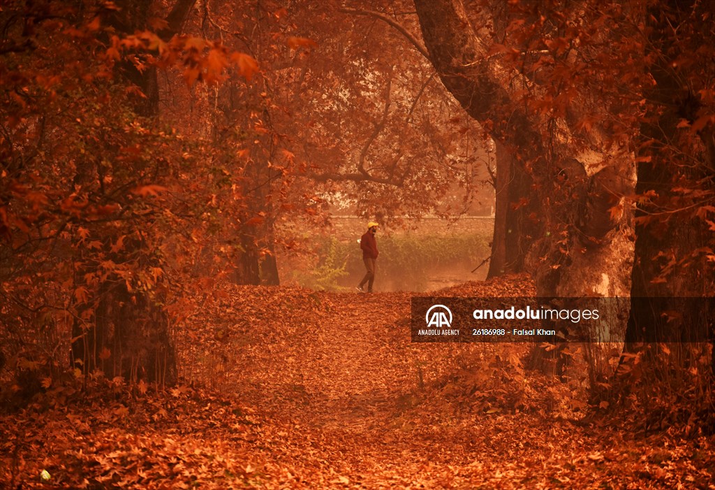 Autumn season in Kashmir