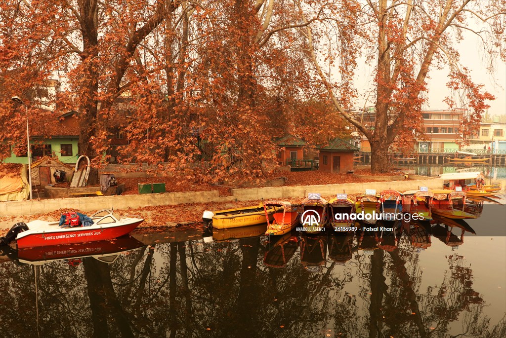 Autumn season in Kashmir