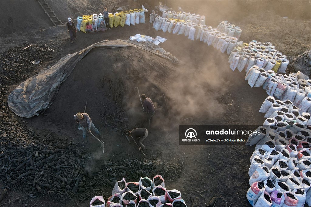 Production of charcoal from oak wood in Turkey's Edirne