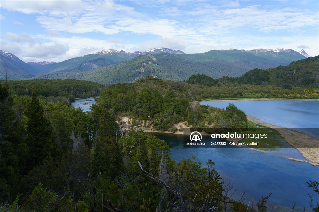 Argentina's 2,600-year-old tree "El Alerce Abuelo"