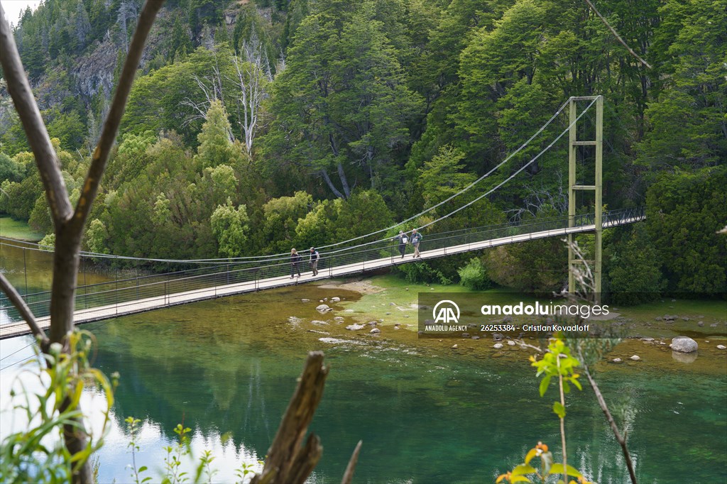Argentina's 2,600-year-old tree "El Alerce Abuelo"