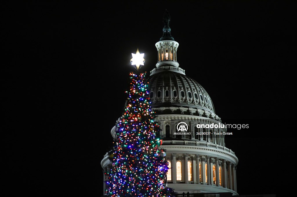 Capitol Christmas tree lighting ceremony in Washington DC