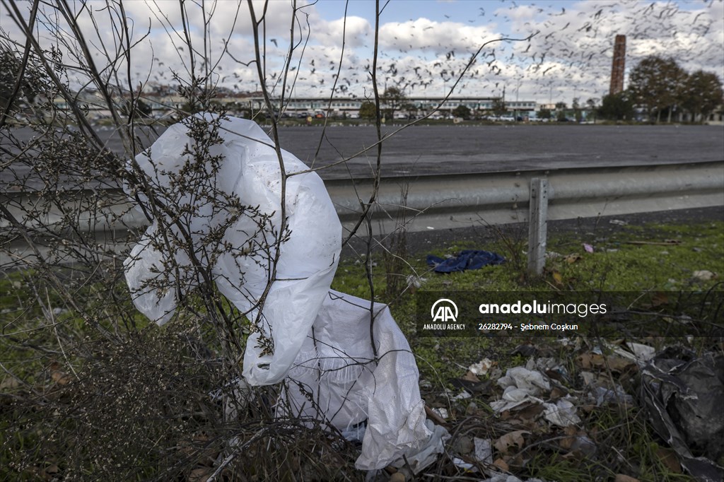 Recycling journey of plastic wastes in Istanbul