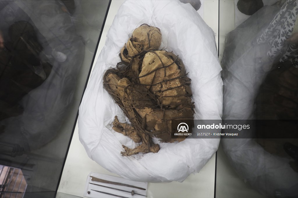 "Mummy of Cajamarquilla"