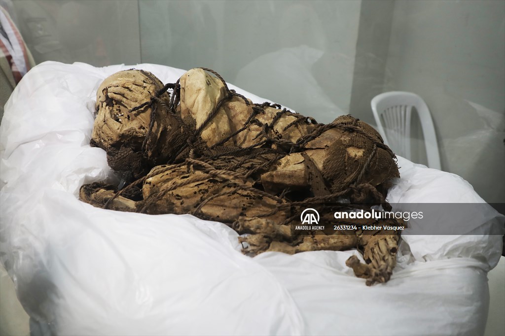"Mummy of Cajamarquilla"