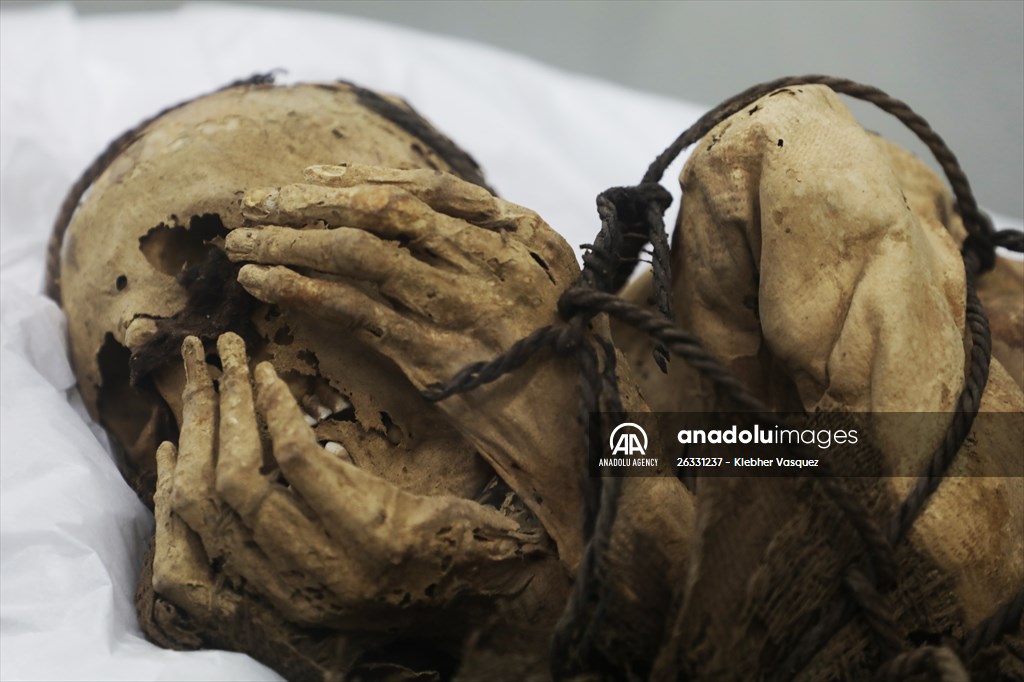 "Mummy of Cajamarquilla"