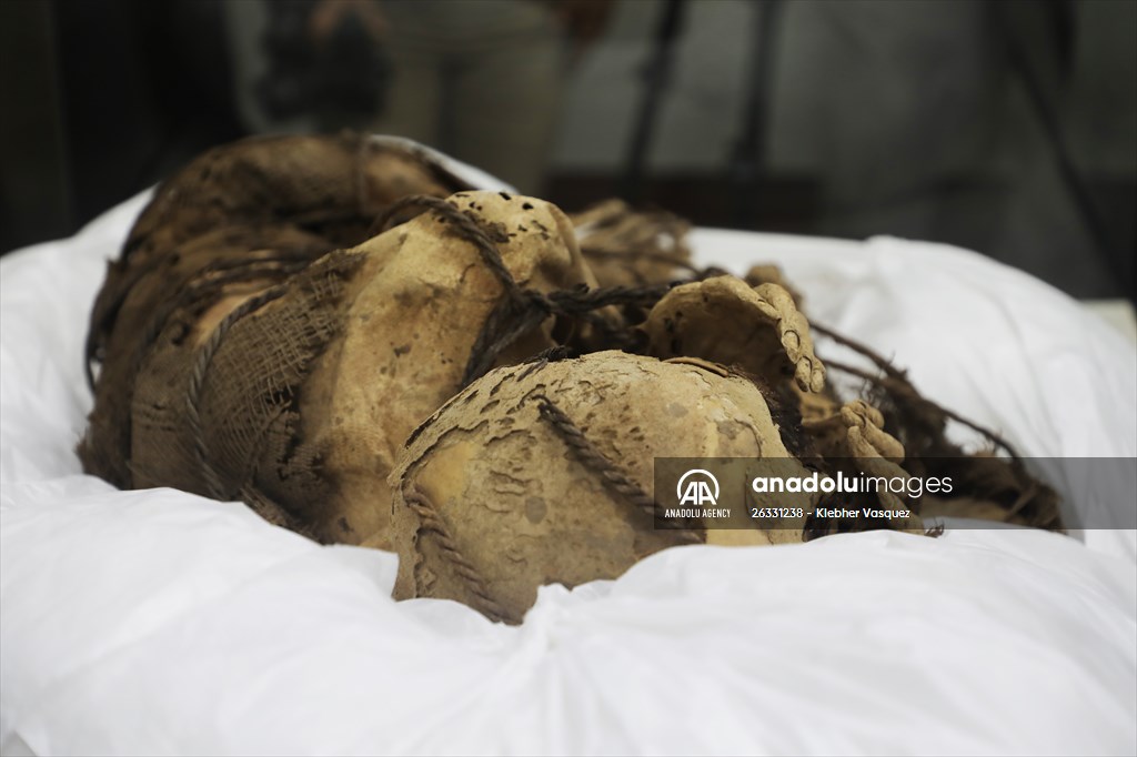 "Mummy of Cajamarquilla"