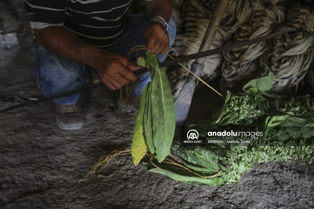 Coloso: A town that almost disappeared after a long conflict, bet for Ecotourism in Colombia