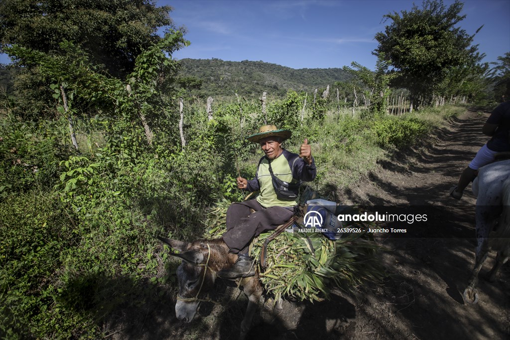 Coloso: A town that almost disappeared after a long conflict, bet for Ecotourism in Colombia