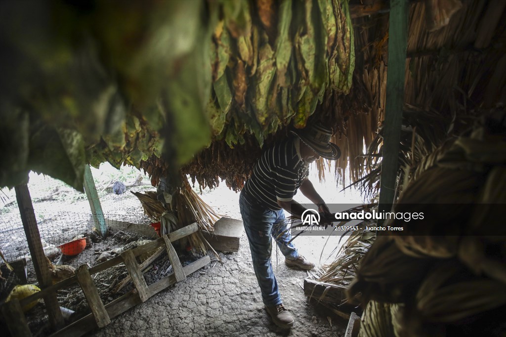 Coloso: A town that almost disappeared after a long conflict, bet for Ecotourism in Colombia