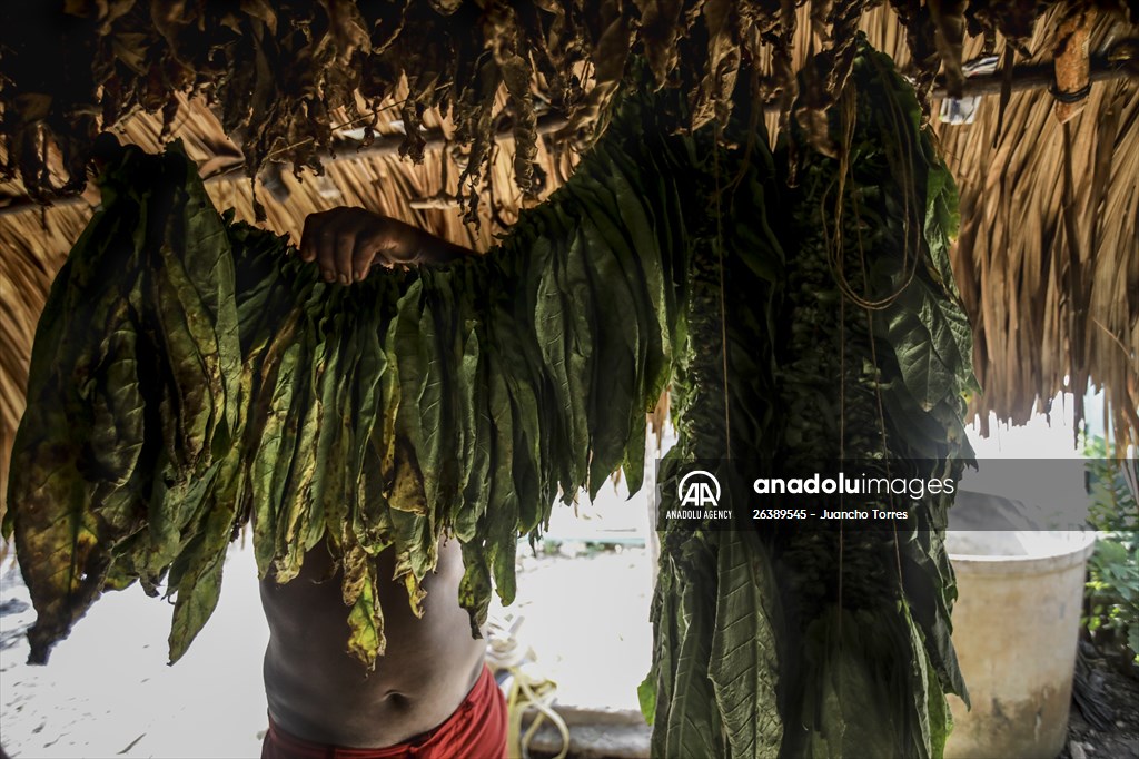 Coloso: A town that almost disappeared after a long conflict, bet for Ecotourism in Colombia