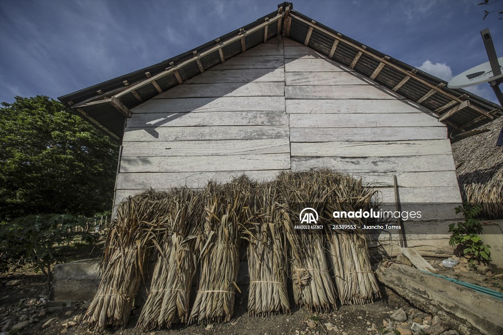 Coloso: A town that almost disappeared after a long conflict, bet for Ecotourism in Colombia