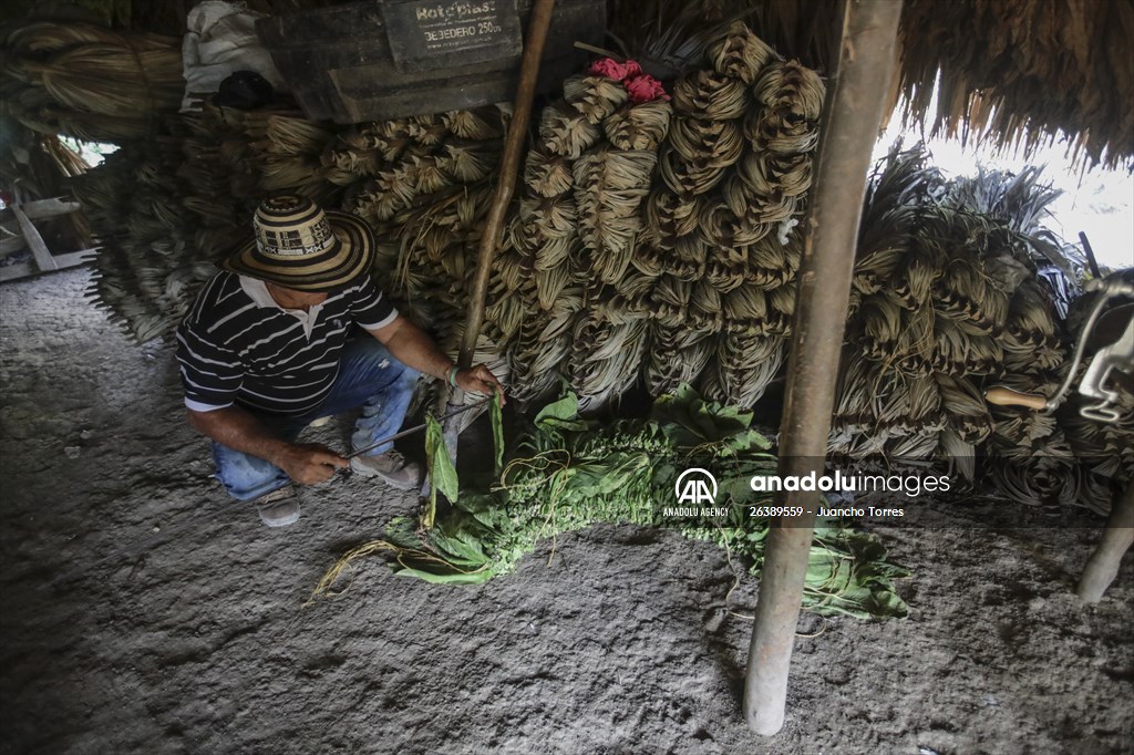 Coloso: A town that almost disappeared after a long conflict, bet for Ecotourism in Colombia