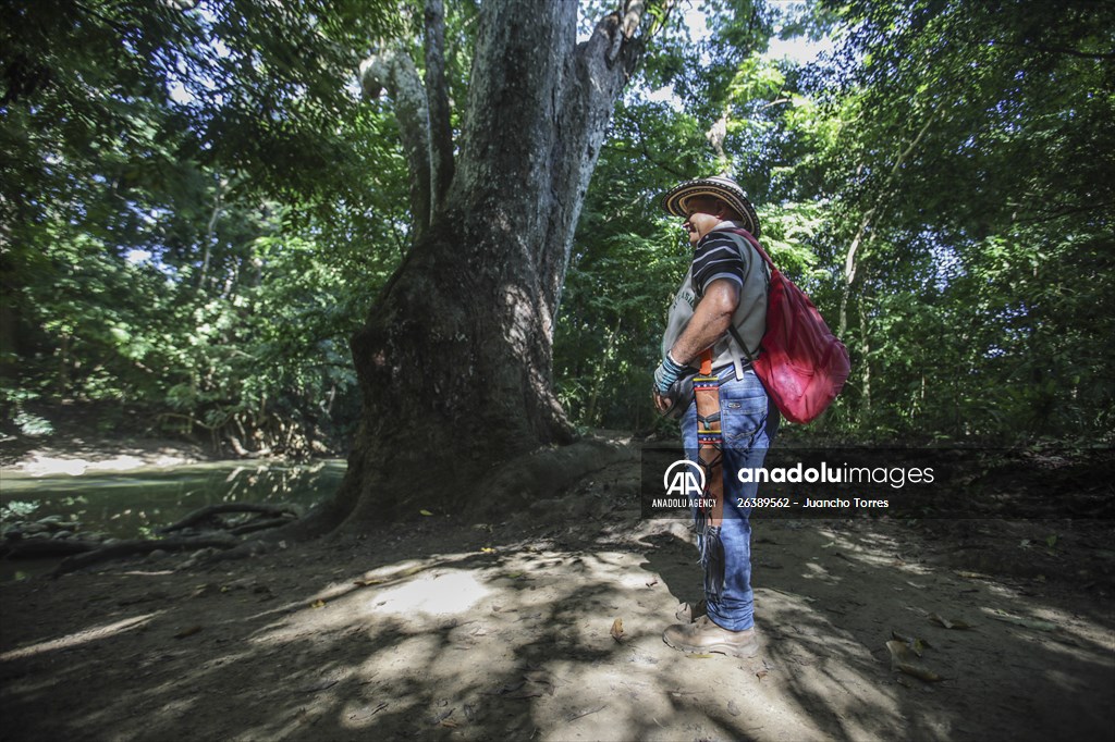 Coloso: A town that almost disappeared after a long conflict, bet for Ecotourism in Colombia