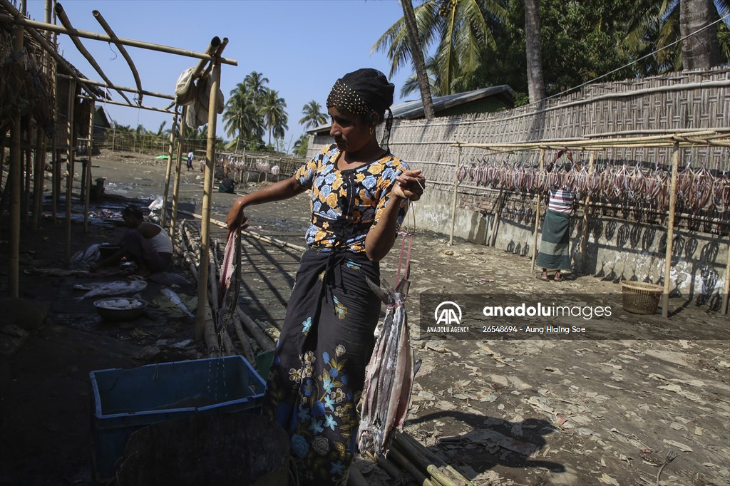 Dried fish production in Rakhine State, Myanmar