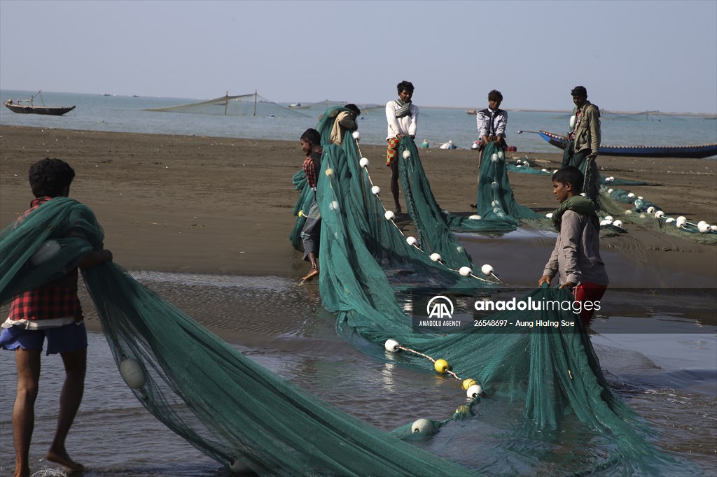 Dried fish production in Rakhine State, Myanmar