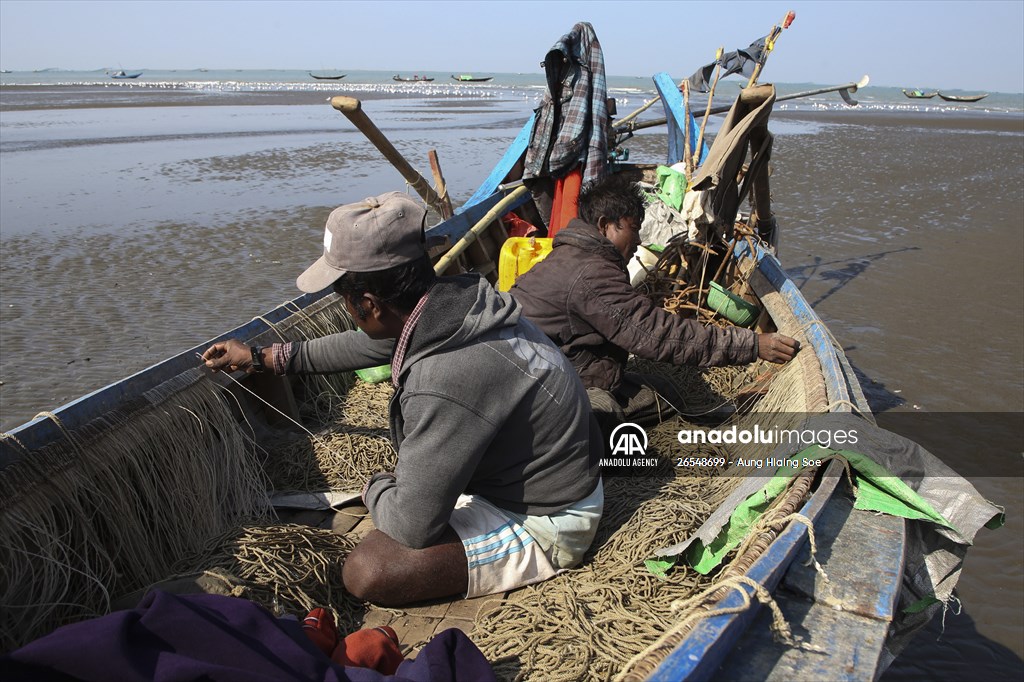 Dried fish production in Rakhine State, Myanmar