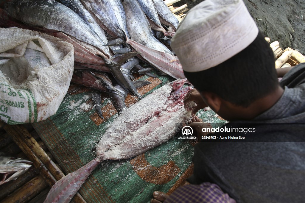 Dried fish production in Rakhine State, Myanmar